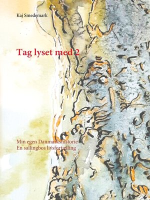 cover image of Tag lyset med 2